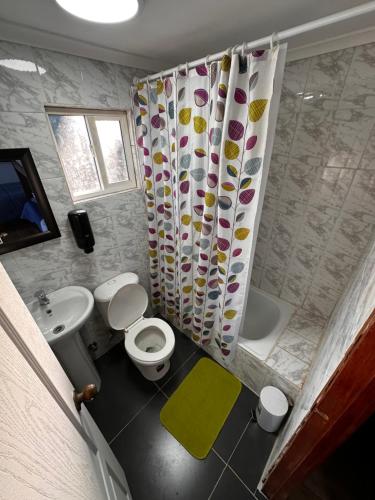 a bathroom with a toilet and a sink and a shower curtain at Hostal y Cabañas Mirando al Mar in Puerto Montt