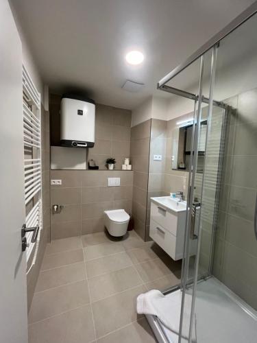 La salle de bains est pourvue d'une douche, de toilettes et d'un lavabo. dans l'établissement Apartmán Vyškov, à Vyškov