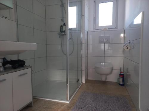 a bathroom with a shower and a toilet at Privates Zimmer mit Bad in Efringen-Kirchen