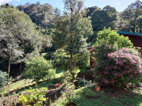 a view of a garden with trees and flowers at Curuba Lodge in El Copey