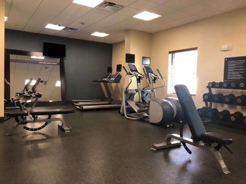 a gym with several treadmills and exercising machines in a room at Hampton Inn & Suites Tampa Northwest/Oldsmar in Oldsmar
