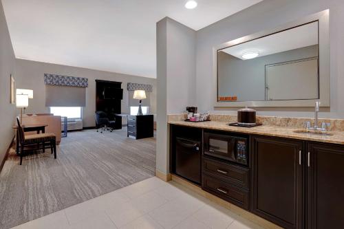 a bathroom with a sink and a large mirror at Hampton Inn & Suites Tampa Northwest/Oldsmar in Oldsmar