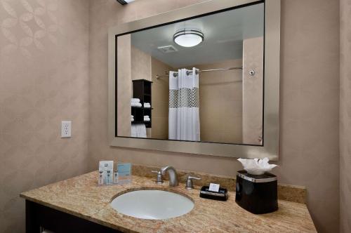 a bathroom with a sink and a large mirror at Hampton Inn & Suites Tampa Northwest/Oldsmar in Oldsmar
