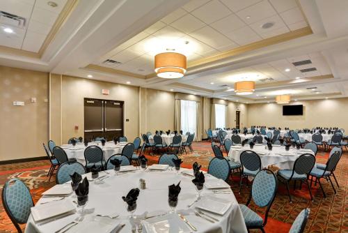 a conference room with tables and chairs with cats on them at Hampton Inn & Suites Tampa Northwest/Oldsmar in Oldsmar