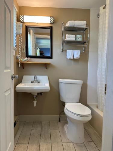 a bathroom with a toilet and a sink and a mirror at Claremont Motor Lodge in Claremont