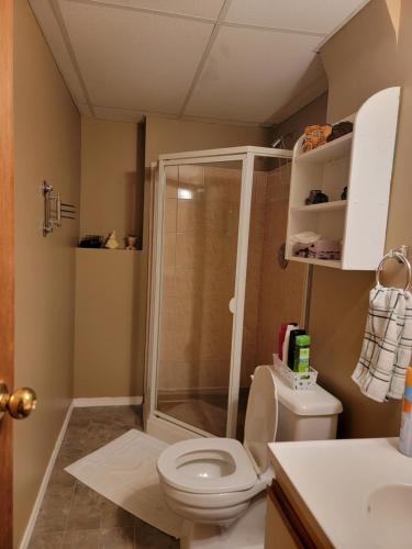 uma casa de banho com um chuveiro e um WC. em Charming - 2 bedrooms basemnt, 1 full bath & rec room em Kamloops