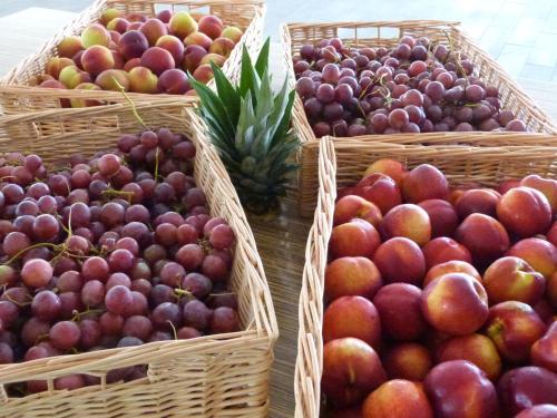a bunch of baskets of apples and other fruits at Hôtel Club la Font des Horts in Hyères