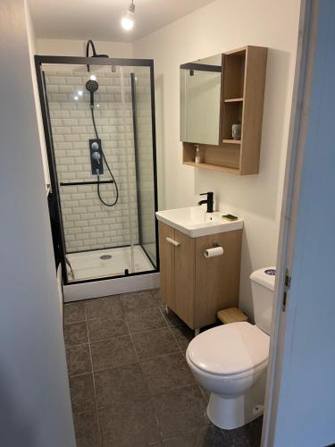 W łazience znajduje się prysznic, toaleta i umywalka. w obiekcie Kazabasté, escapade spa et jardin privatif w mieście Basse-Terre