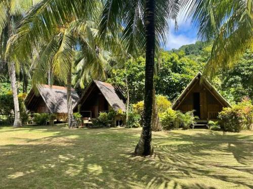 un par de cabañas con palmeras delante de ellas en KOKONUT HUT RETREAT & CAMPING SITE RENTAL en Romblon