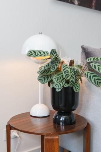 a table with a lamp and a potted plant on it at Sage Haven - Laidback St Kilda Beach Living in Melbourne