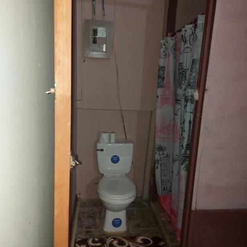 een kleine badkamer met een toilet en een douchegordijn bij Departamento Minae in Puerto Jiménez