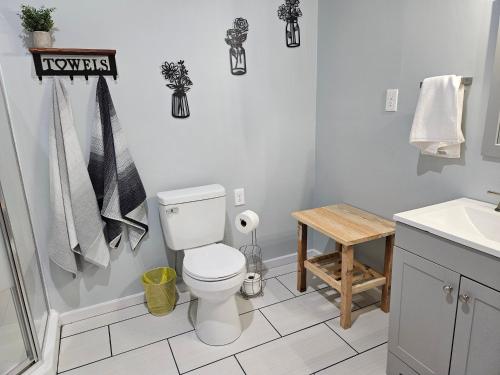 a bathroom with a toilet and a sink at Toe River Retreat in Spruce Pine