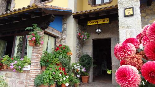 a building with pom pom flowers in front of it at Conjunto Hotelero La Pasera in Soto de Cangas