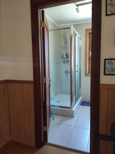 baño con ducha y puerta de cristal en Puerto Varas, habitación doble, en Puerto Varas