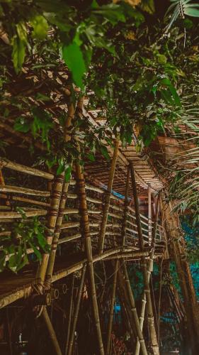 Κήπος έξω από το Bukit Raya Guesthouse