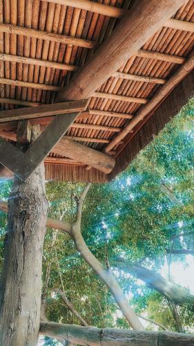 Φωτογραφία από το άλμπουμ του Bukit Raya Guesthouse σε Palangkaraya