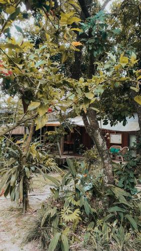 Κήπος έξω από το Bukit Raya Guesthouse