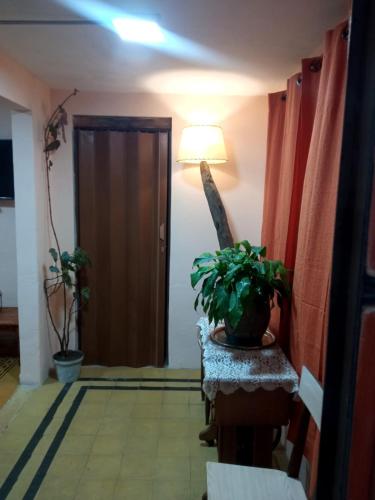 a hallway with a plant and a lamp and a door at La Casa de los Viejos in Minas