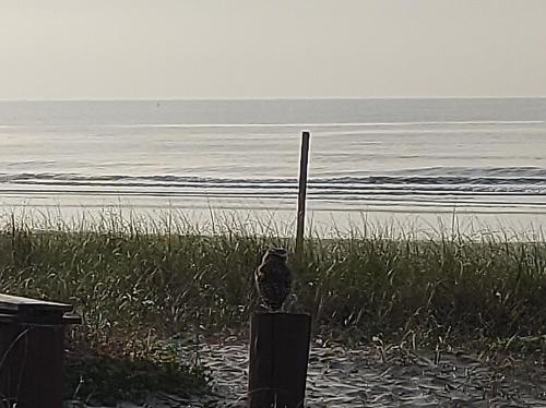 Naturlandschaft in der Nähe des Ferienhauses