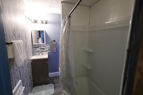 ein Bad mit einer Dusche und einem Waschbecken in der Unterkunft The Hidden Gem in Glen Ferris