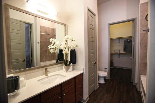 a bathroom with a sink and a toilet and a mirror at Adorable 5star Luxury Living in Houston