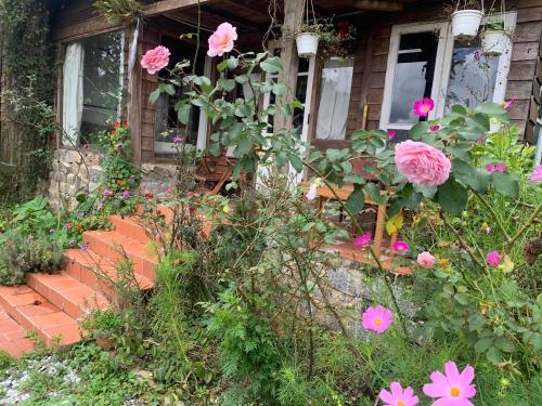 a house with pink flowers on the front porch at Romantic house on a pine hill Dalat in Xuan An