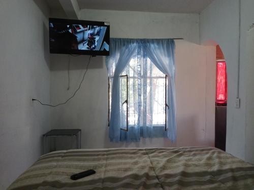 Schlafzimmer mit einem Bett, einem TV und einem Fenster in der Unterkunft Tranquilidad y comodidad 