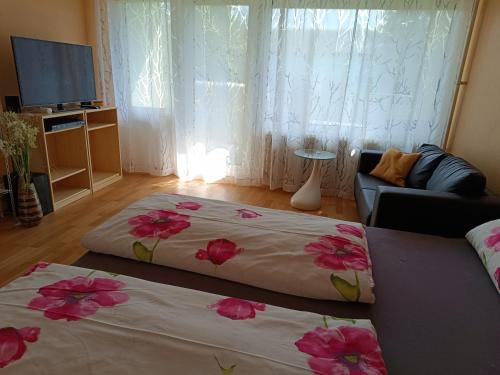 two beds in a living room with pink flowers on them at Offenburg Apartment in Offenburg