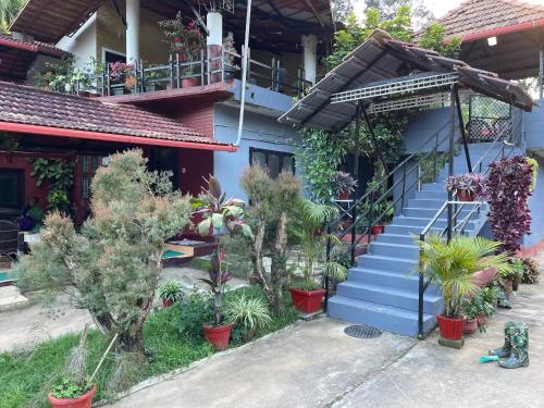 a house with a blue staircase and potted plants at Coorg Northbreeze Estate stay in Madikeri