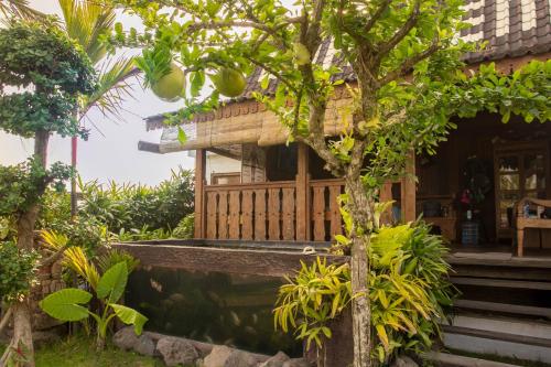 a house with a tree in front of it at Pondok Cap Oleng Guesthouse Canggu by Ecommerceloka in Canggu