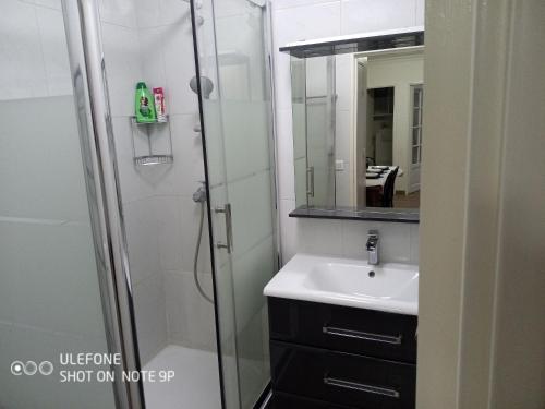 La salle de bains est pourvue d'un lavabo et d'une douche. dans l'établissement Sunlit Seine Cottage, à Paris