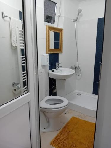 a bathroom with a toilet and a sink at Pensiunea Hanzu Darius in Gura Râului