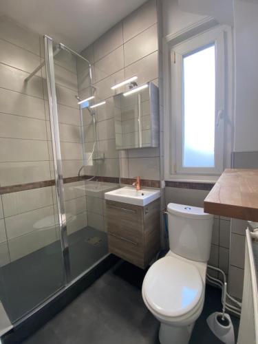une salle de bain avec toilettes, douche et lavabo dans l'établissement Le Carillon, centre ville proche gare, à Calais