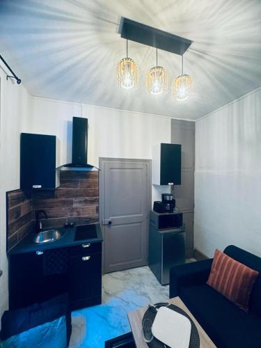 un salon avec un canapé et une cuisine dans l'établissement Le green touch, studio centre ville historique, à Bourges