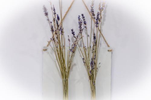 two vases filled with lavender on a white wall at URBANFLORA in Genova
