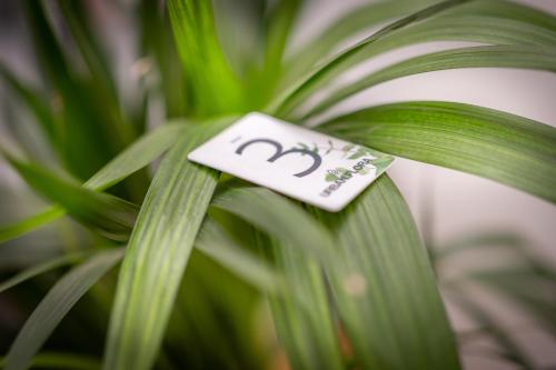 a close up of a plant with a tag on it at URBANFLORA in Genova