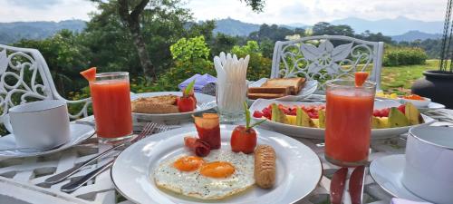 Jídlo v penzionu nebo okolí