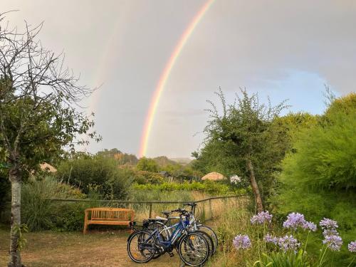 two bikes parked under a rainbow with a bench at Hotel Aux Tamaris in Sauzon