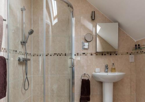 a bathroom with a shower and a sink at Bryn Eithin in Derwen