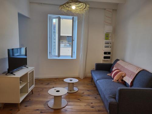 ein Wohnzimmer mit einem blauen Sofa und einem TV in der Unterkunft Aux portes du Palais - garage à vélo - in Hauterives