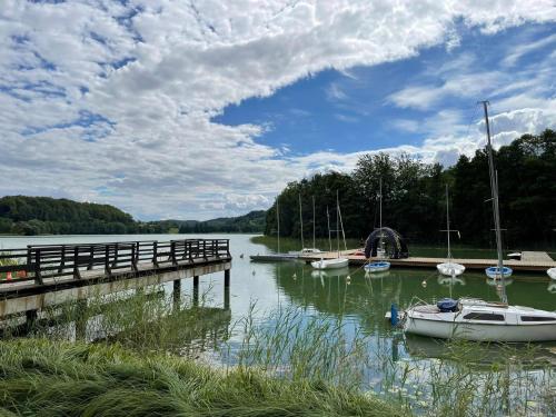 a group of boats docked at a dock on a lake at Siedlisko Złota Góra domki całoroczne na Kaszubach in Brodnica