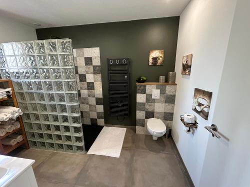 a bathroom with a shower with a toilet and a sink at A Biguey entre-deux-mers in Saint-Caprais-de-Bordeaux