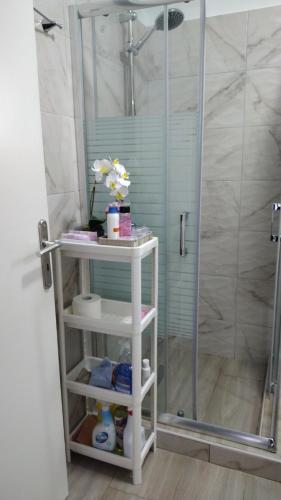 a shower with a white shelf in a bathroom at City Center Apartment in Ioannina