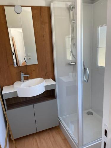 a white bathroom with a sink and a shower at TINY HOUSE in Souvans