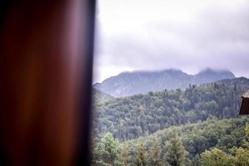 a view from a window of a mountain valley at My Tatra Residence in Zakopane