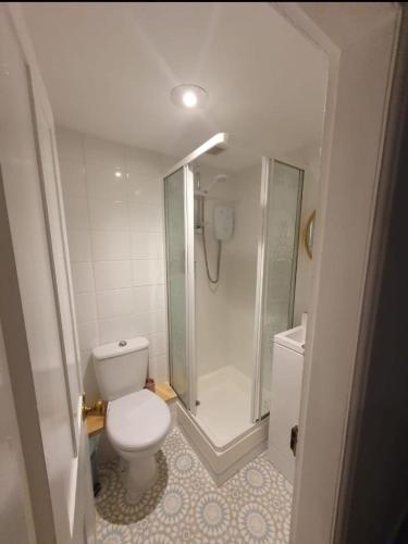 a small bathroom with a toilet and a shower at Station House in St Austell