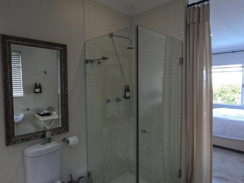 a bathroom with a shower with a toilet and a mirror at Thyme Wellness Spa and Guesthouse in Cape Town