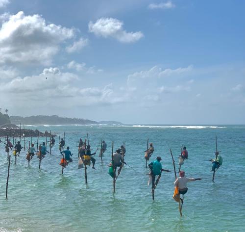 a group of people in the water with paddles at Aldea bleu in Midigama
