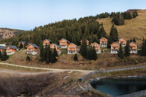 un grupo de casas en una colina con un estanque en Holiday home in Stefan in the Lavanttal with balcony en Elsenbrunn