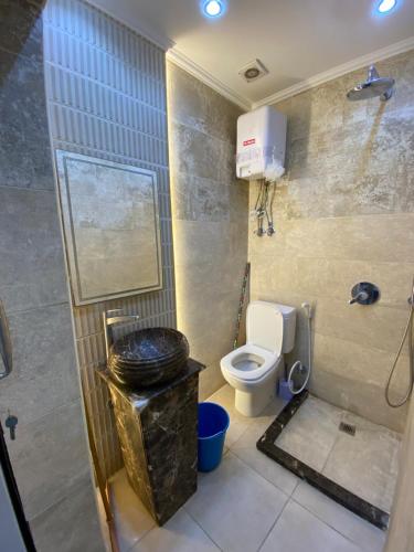 y baño con aseo y ducha. en JAD Group Nile view en El Cairo